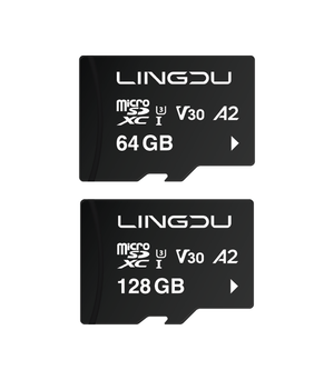 Lingdu Memory